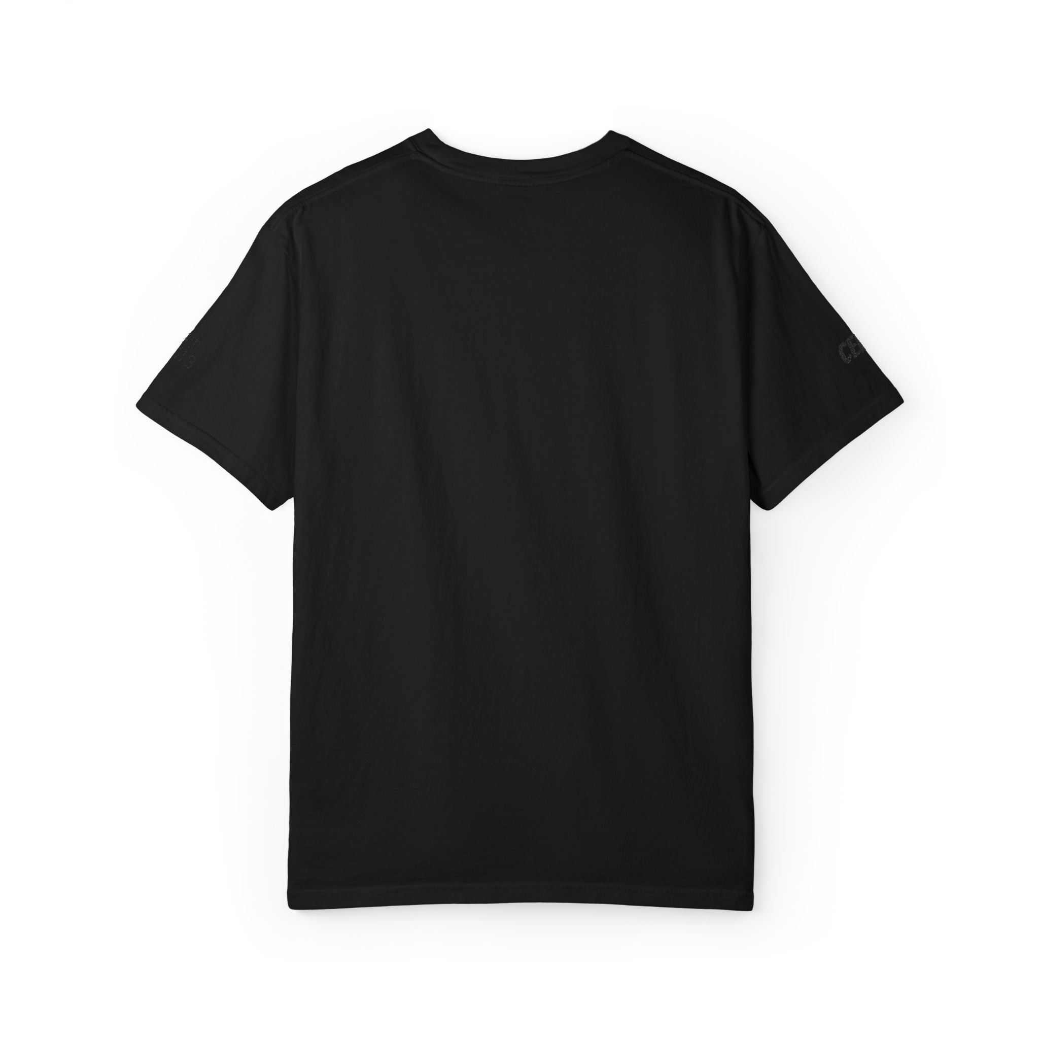 Dog Sploot T-Shirt — Personalized Dog Name & Birth Year Sleeve Tee