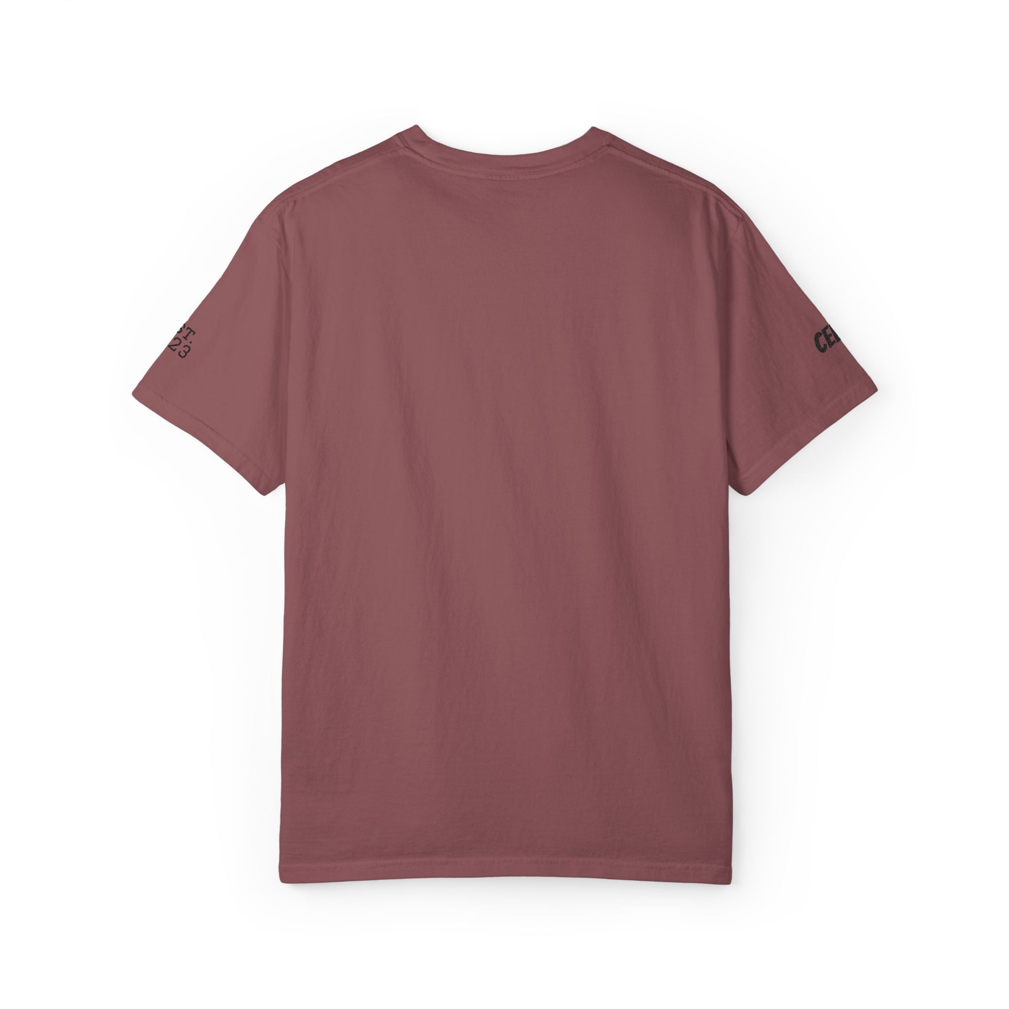 Dog Sploot T-Shirt — Personalized Dog Name & Birth Year Sleeve Tee