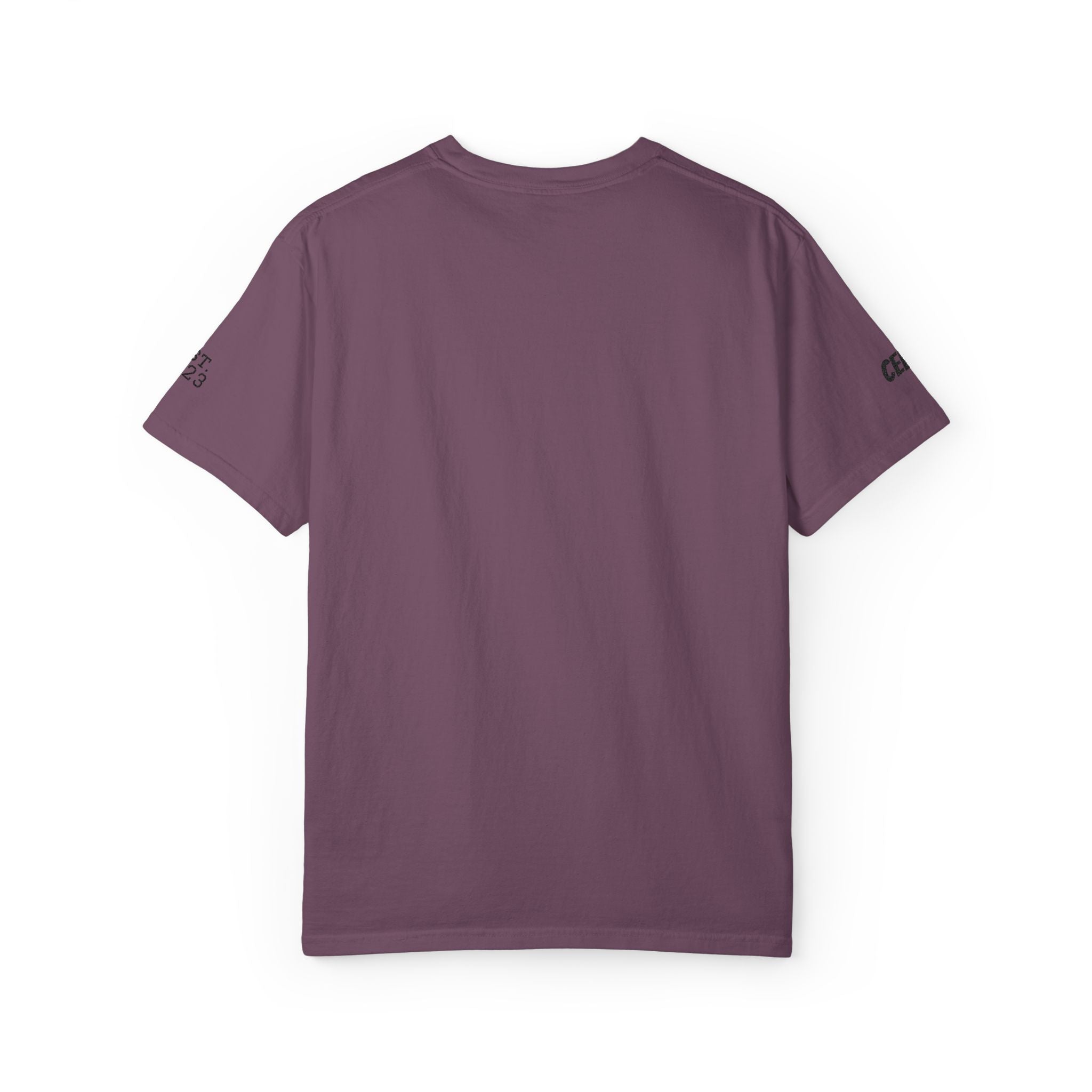 Dog Sploot T-Shirt — Personalized Dog Name & Birth Year Sleeve Tee